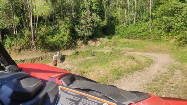Paseo con el buggy en Asturias