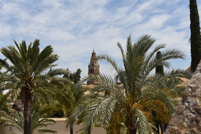  La Moschea di Cordova 