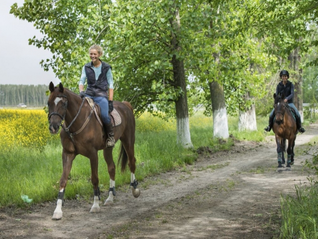 Ruta romántica a caballo por el Pirineo Catalán 2h