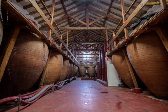 Bodega de vinos