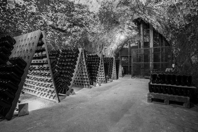 Nuestra bodega