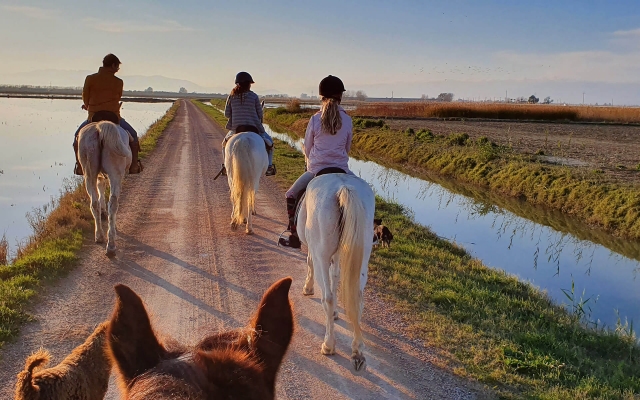  Passeios a cavalo pelas margens do Ebro 