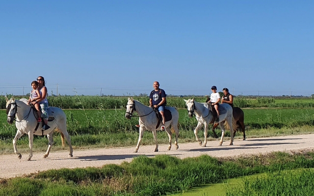 Passeios a cavalo no Delta do Ebro 