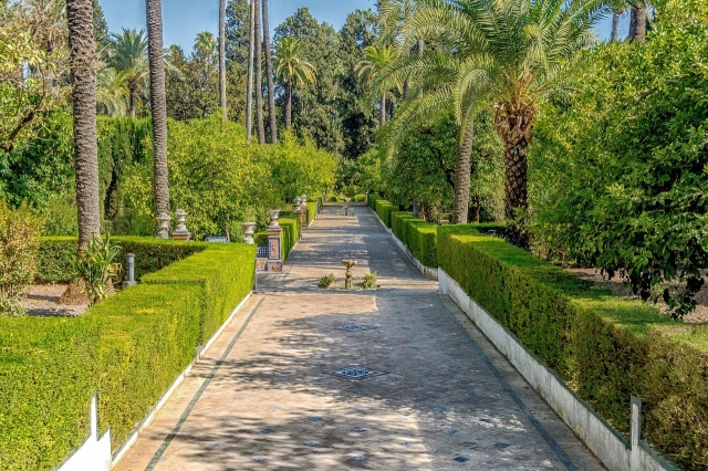  Visite des jardins de l'Alcazar de Séville 