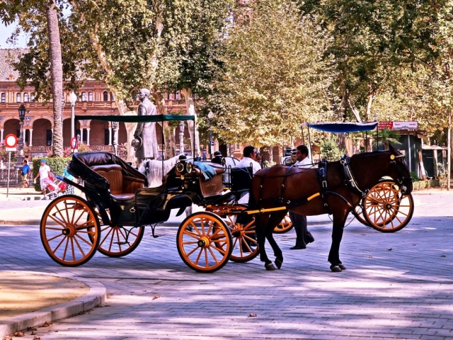 El caballo y la calesa