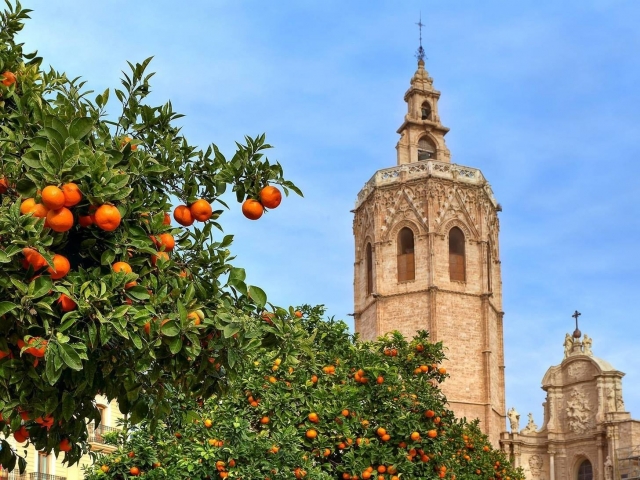 Catedral de Valencia