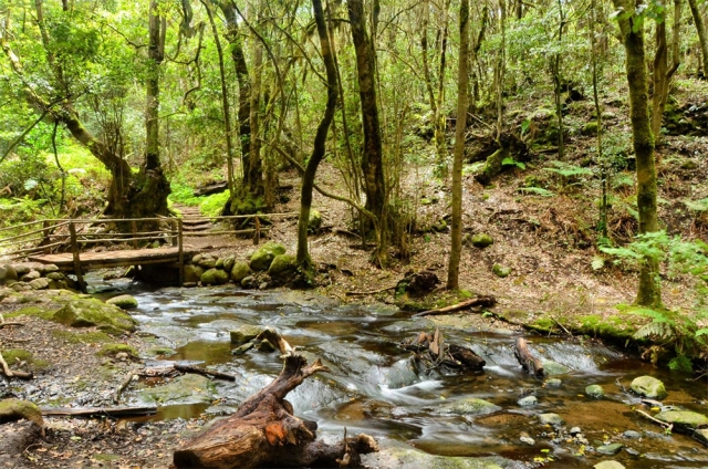 Fiume a La Gomera 