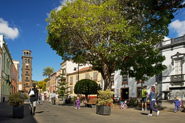  Visit to La Laguna 