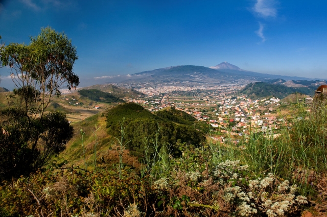  Aguere Valley in La Laguna 