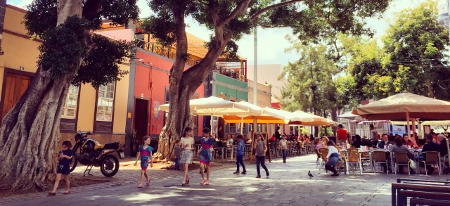  Streets of Santa Cruz de Tenerife 