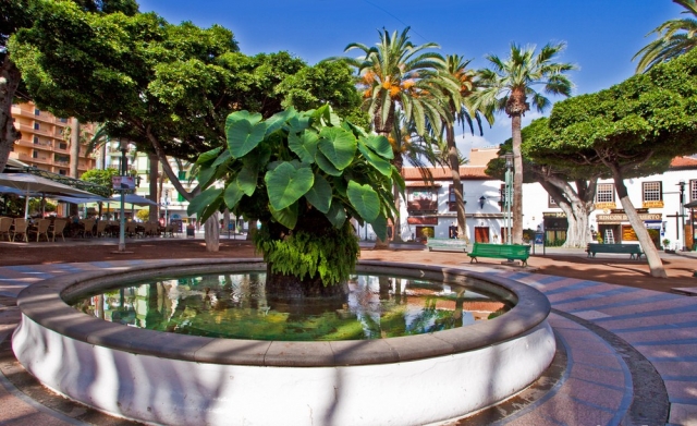  Puerto de la Cruz 