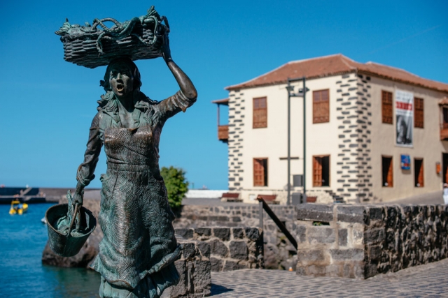  Scogliere di Santiago del Teide 