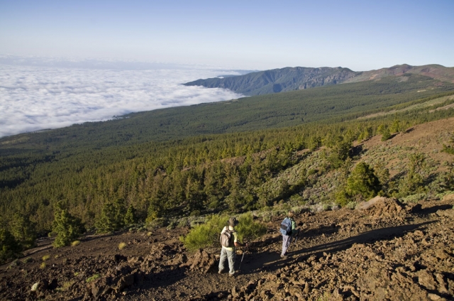 En lo alto del Parque Nacional del Teide