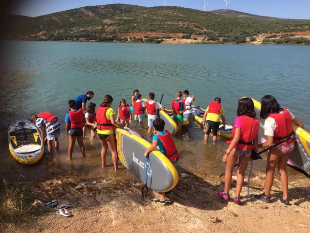  Practicing paddle surfing
