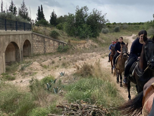 Ruta a caballo y almuerzo