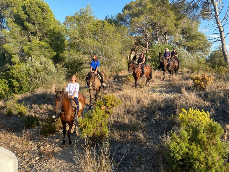 Ruta a caballo para todos los niveles Ruta a caballo para todos los niveles