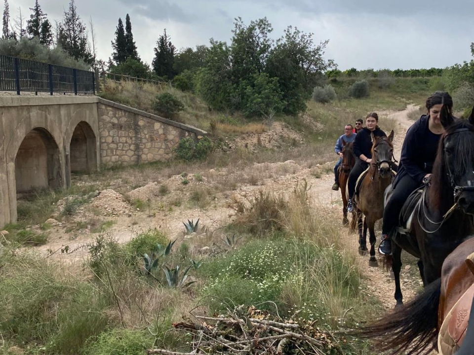 Ruta a caballo y almuerzo Ruta a caballo y almuerzo