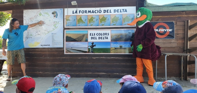 Guida dell'anatra del delta di Riumar 
