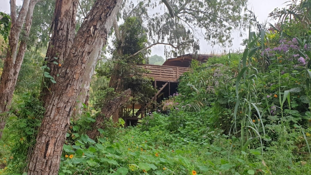  itinéraire à travers l'intérieur de Gran Canaria 