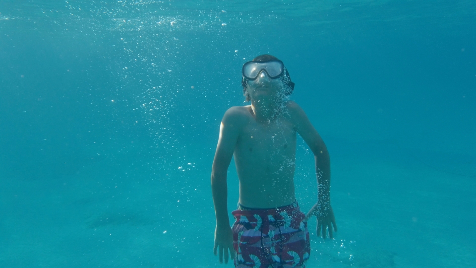 Mergulhe nesse passeio de barco 