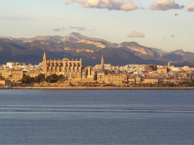 Palma desde el agua