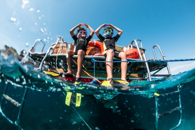  Immersioni a Maiorca 