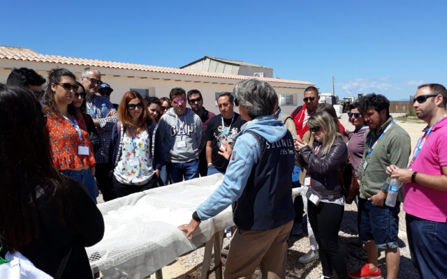  Visiting the salt flats 