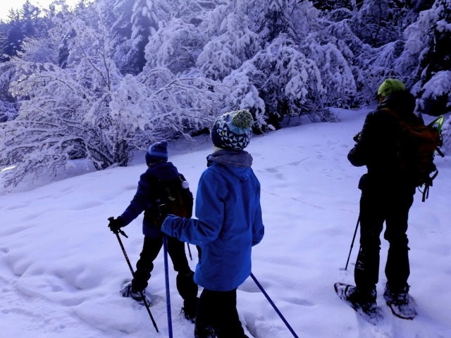  雪鞋 