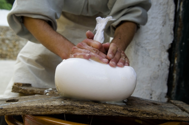  making cheese 