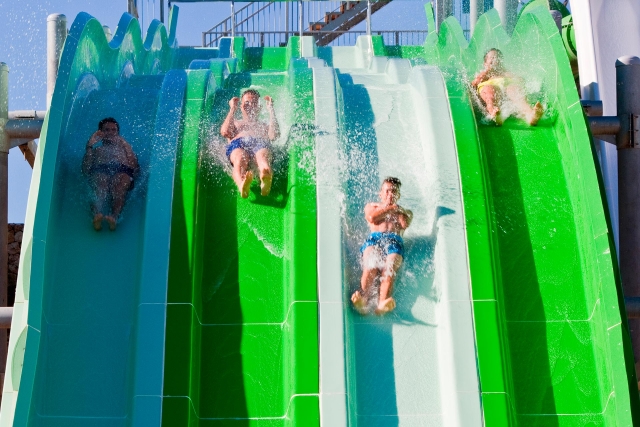  slides for adults