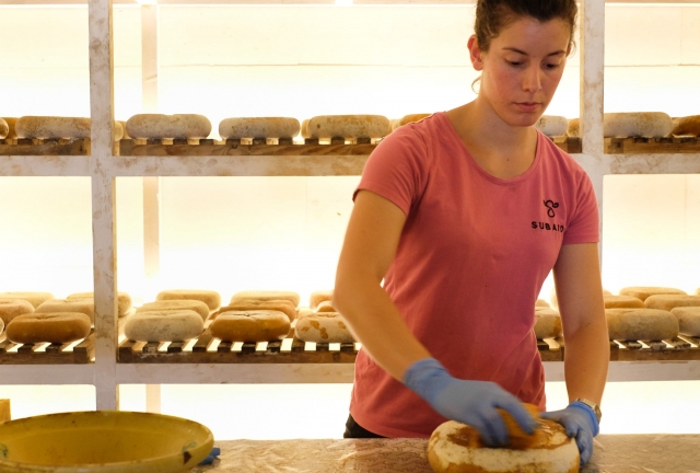  Herstellung von handwerklich hergestelltem Käse 