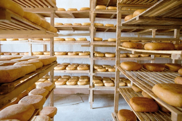  Gastronomische Route durch Menorca 