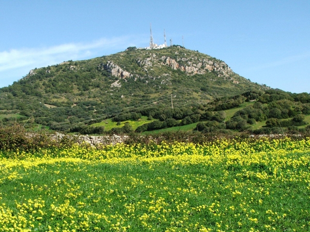 Naturaleza de Menorca