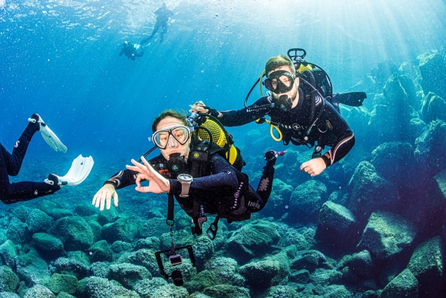  Descobrindo a fauna marinha durante o mergulho