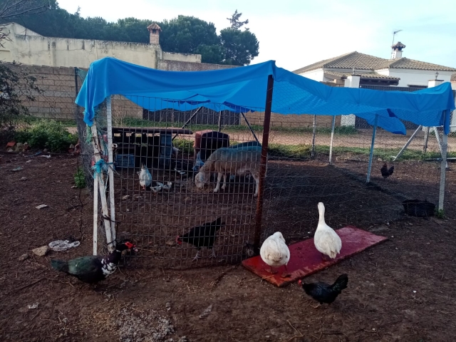 nuestras aves