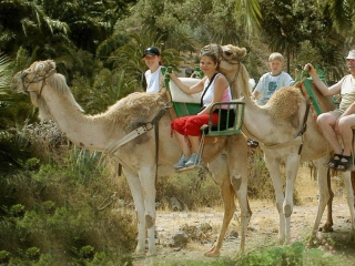 Giro in cammello tra le dune di Maspalomas per bambini 60 min