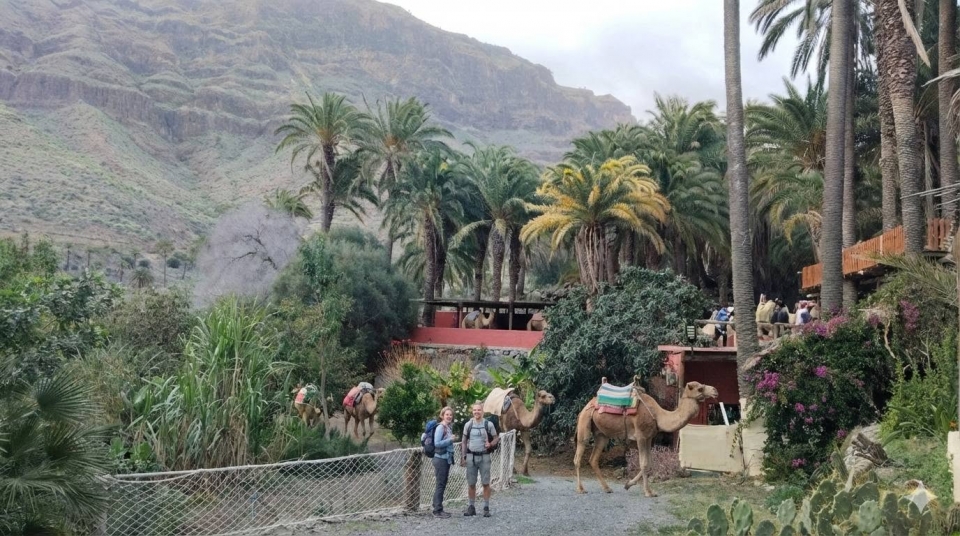  Conosci Maspalomas a bordo di un cammello 