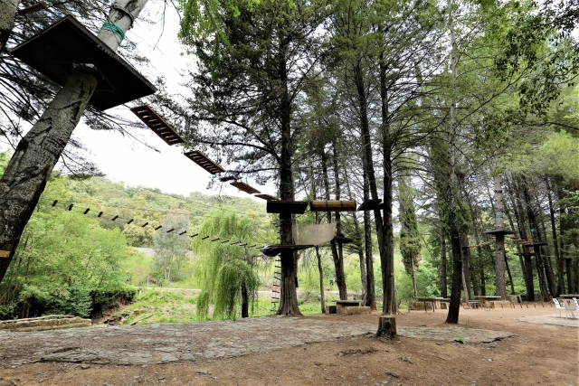 Parque con puentes y tirolinas