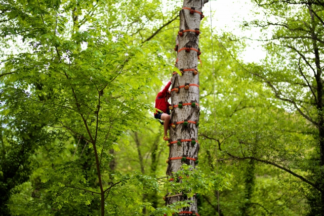  Parque Aventura de Sevilha 