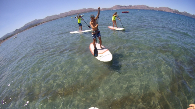  Praticar SUP em Alcudia 