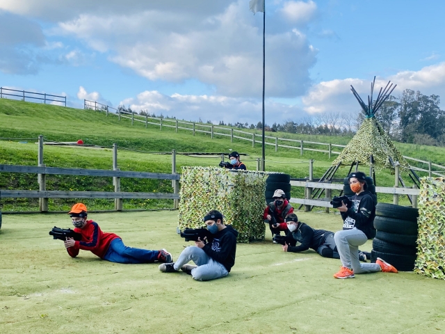  Our activities 