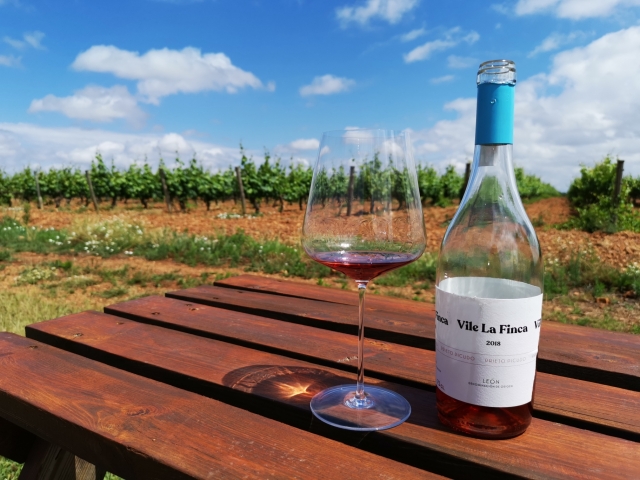 Il nostro vino 