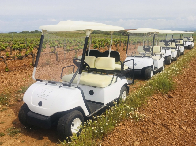  Il nostro buggy 