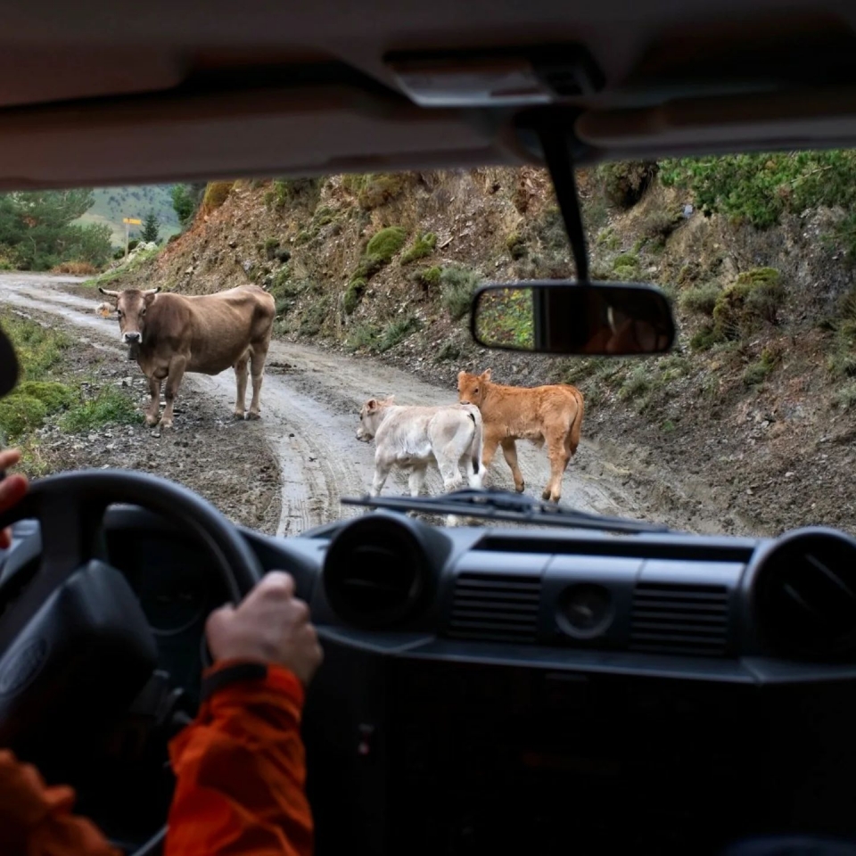  Goditi i migliori paesaggi della valle di Ordesa 