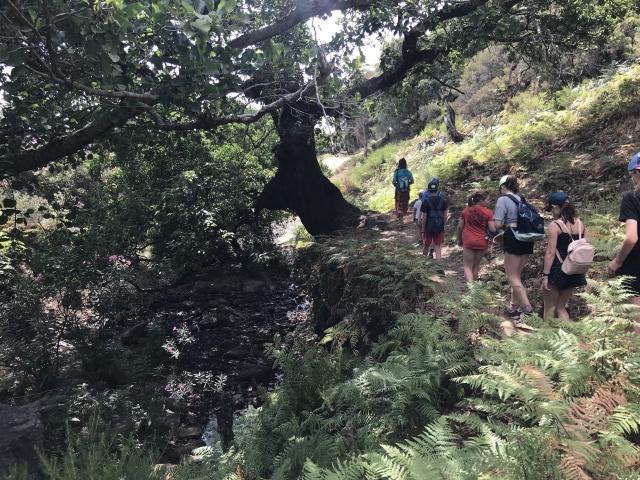  Caminhar pela natureza 
