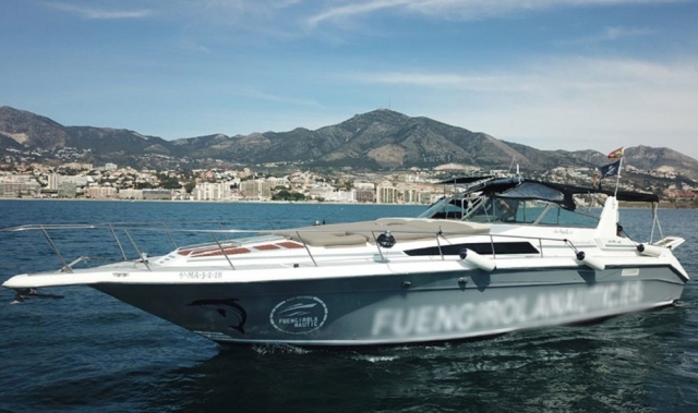  Voir les dauphins à Fuengirola 