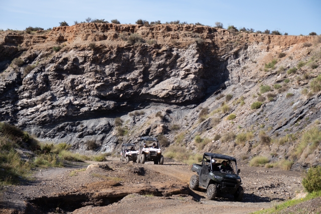Adrenalina en el buggy