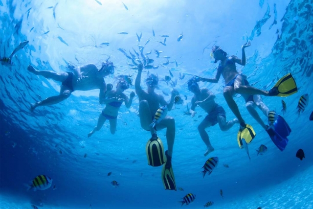  Praticar mergulho com snorkel 