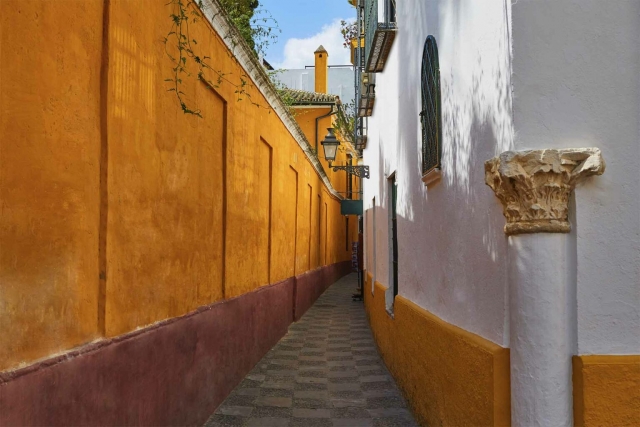  Rua do bairro Triana 