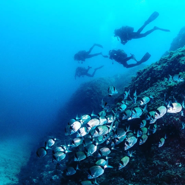  Diving in the Costa Brava 